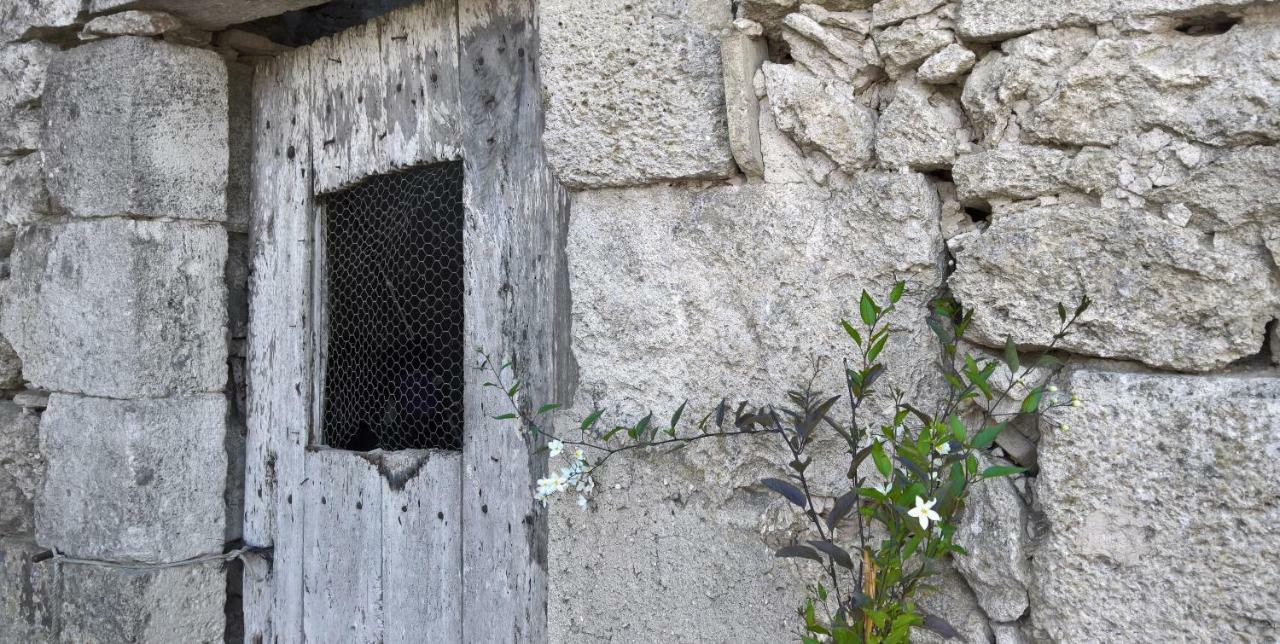 Grange De Lavande Roquebrune Exteriér fotografie